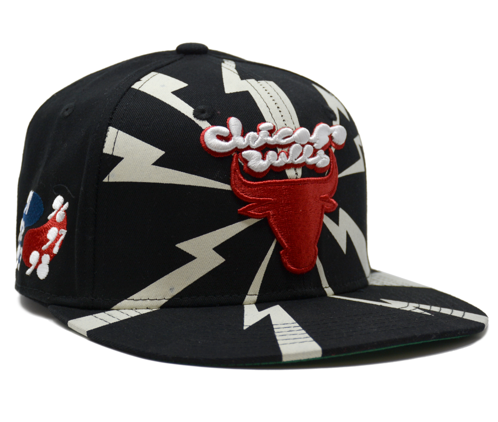 Buy the Chicago Bulls BMO Snapback Hat Gap Artist Series Chuck