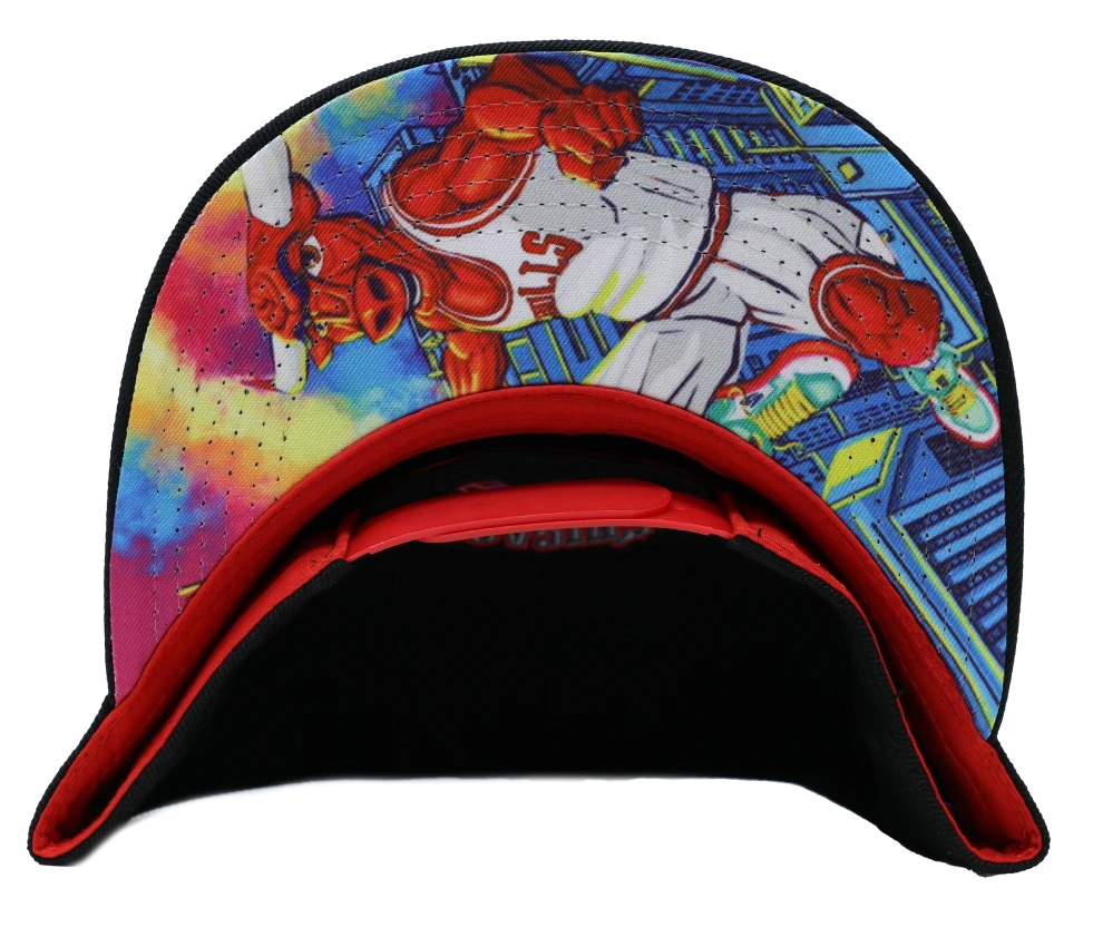 Chicago Bulls BMO Snapback Hat Cap Artist Series BRAND NEW RARE