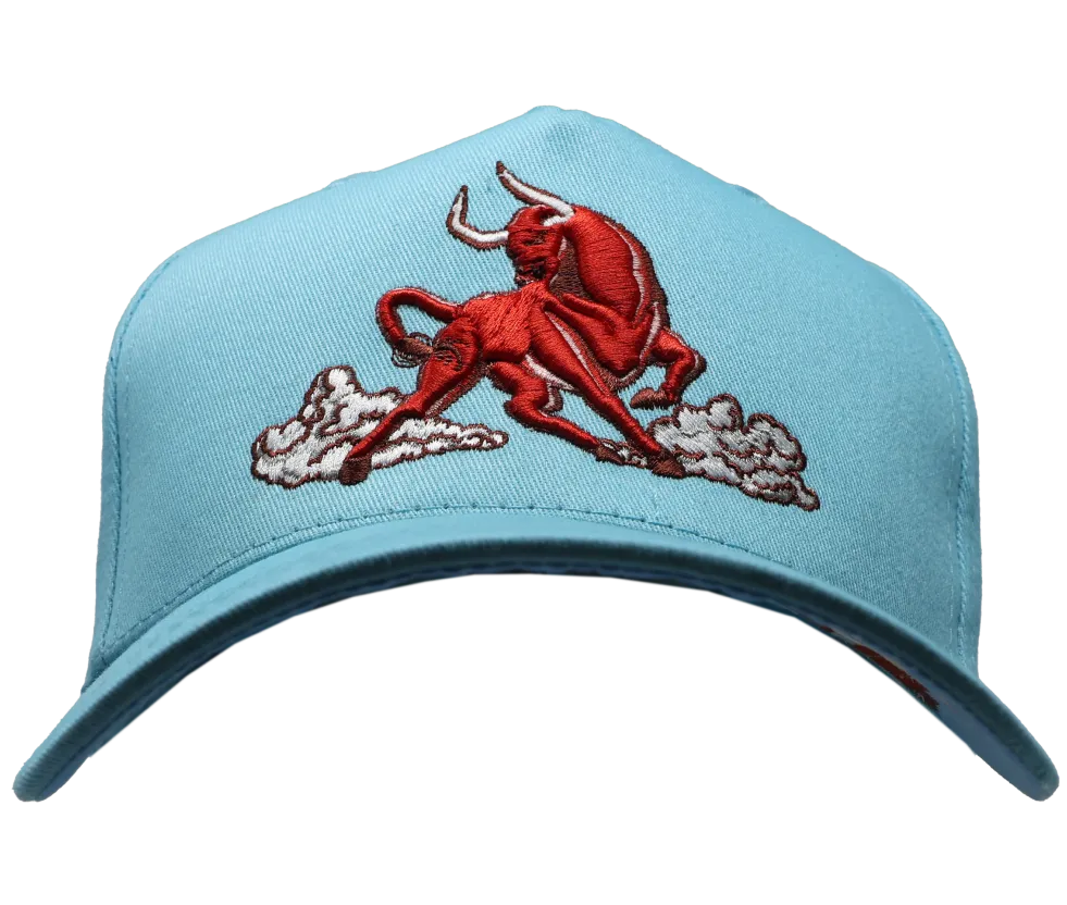 Chicago Artist Hat Series - 2024-25 | Chicago Bulls
