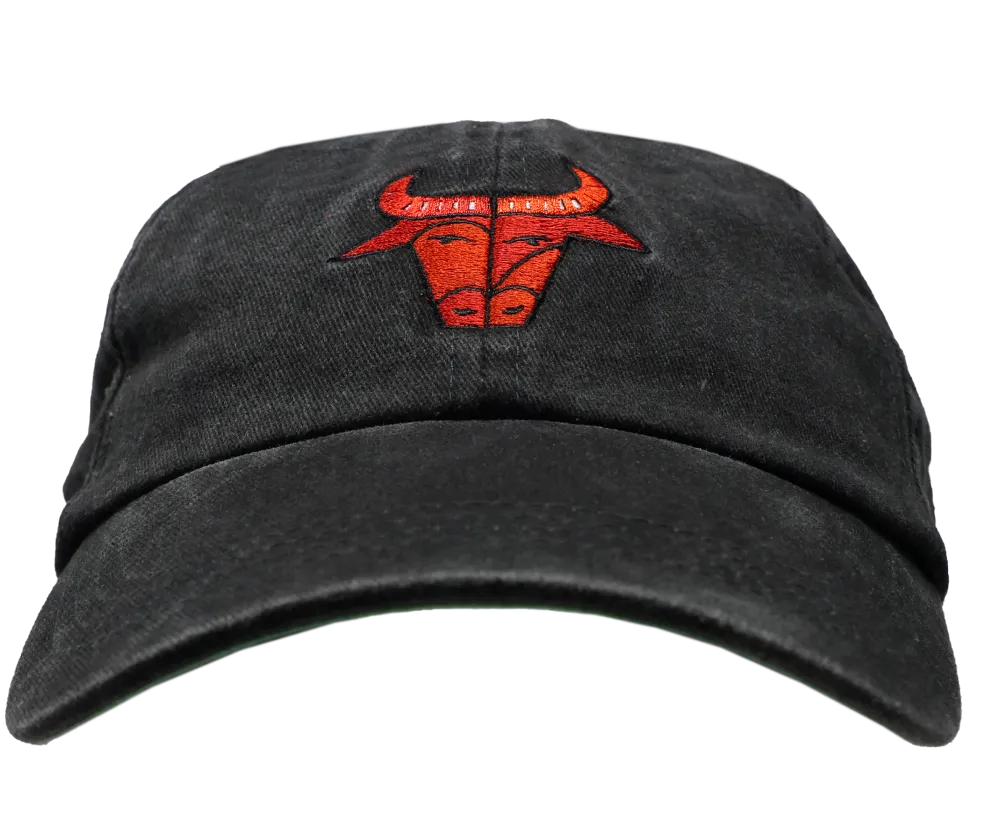 Chicago Artist Hat Series - 2024-25 | Chicago Bulls