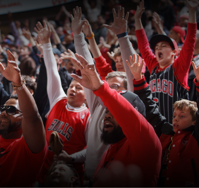 Fans at a game